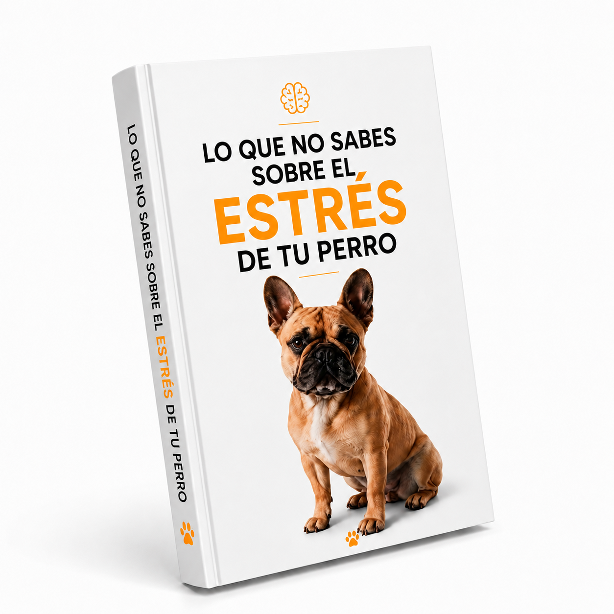 Guía del Estrés