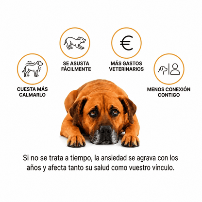 SerenPaw™ Anti-Stress-Massagegerät für Haustiere