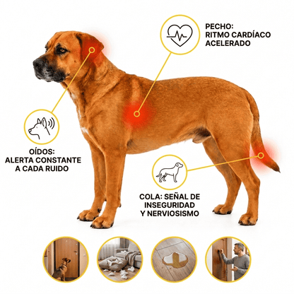 SerenPaw™ Anti-Stress-Massagegerät für Haustiere